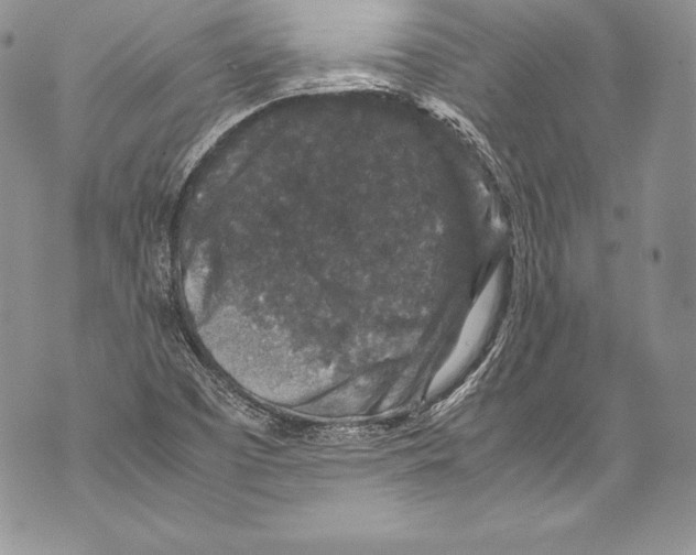 X0000071861457200607290145