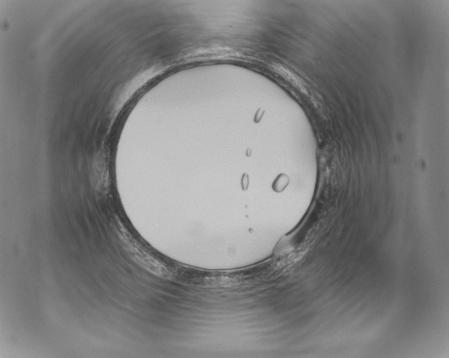 X0000071861458200607290145