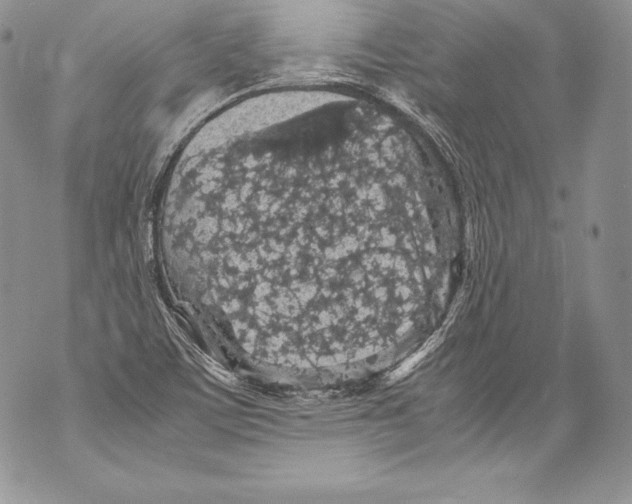 X0000071861459200607290145