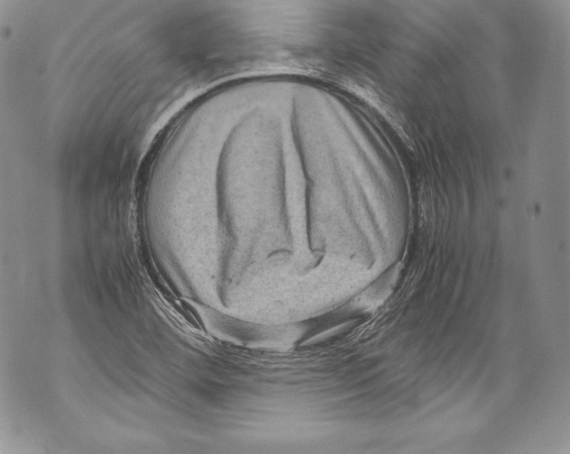 X0000071861460200607290145