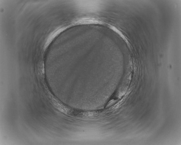 X0000071861461200607290145