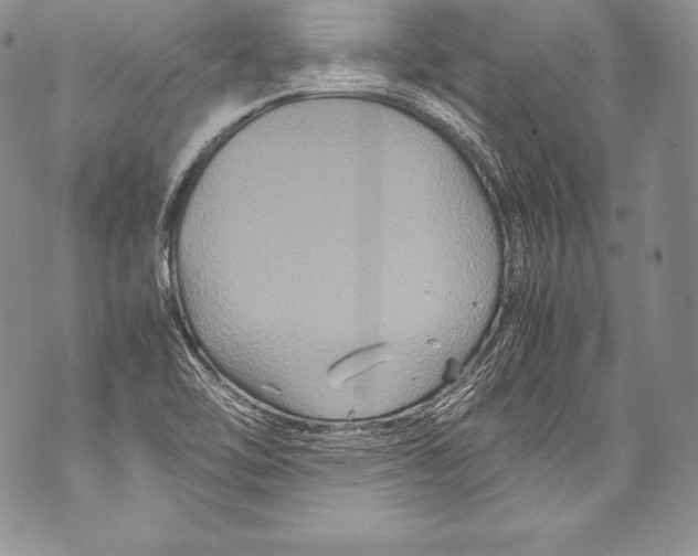 X0000071861462200607290145