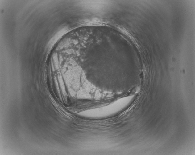 X0000071861463200607290145