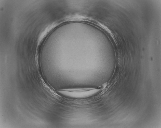 X0000071861464200607290145