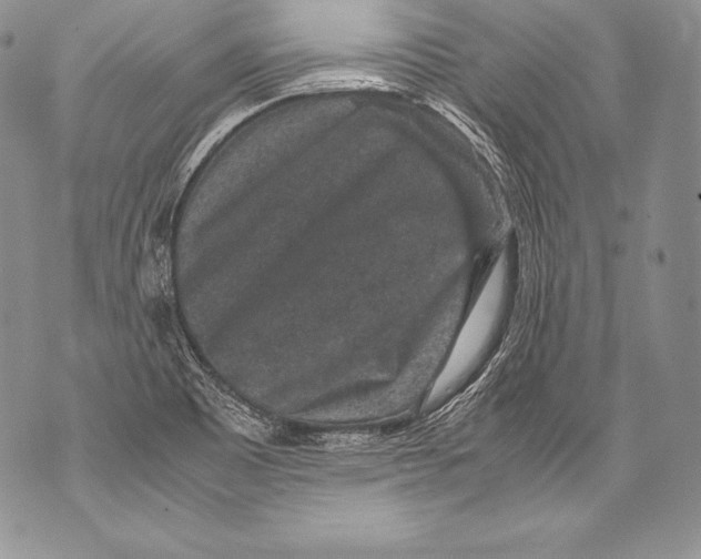 X0000071861465200607290145