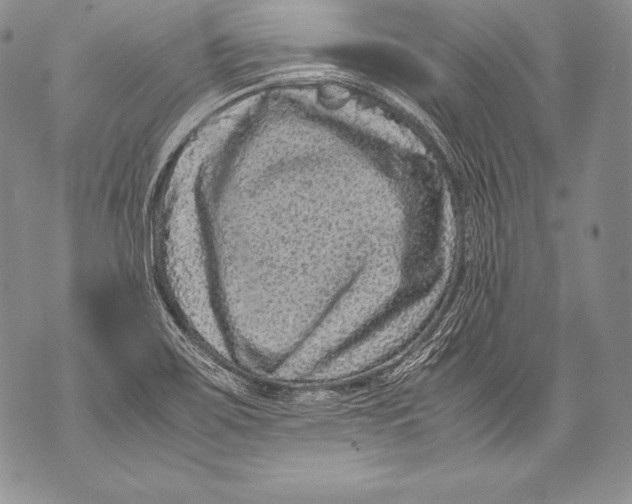 X0000071861467200607290145