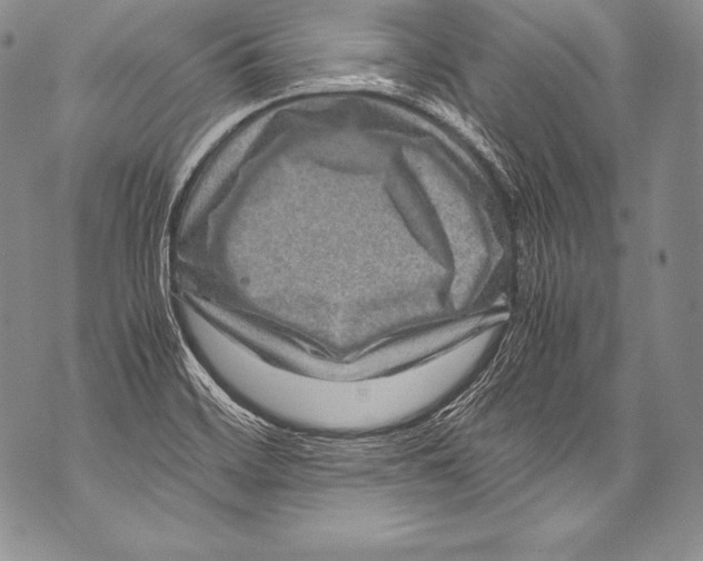 X0000071861468200607290145