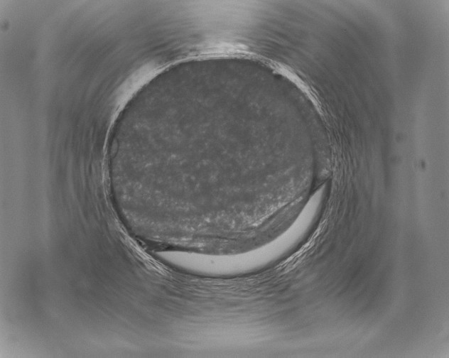 X0000071861469200607290145