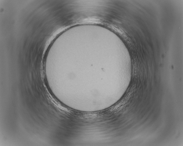 X0000071861470200607290145