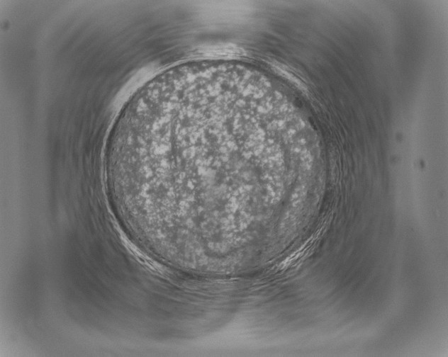 X0000071861471200607290145