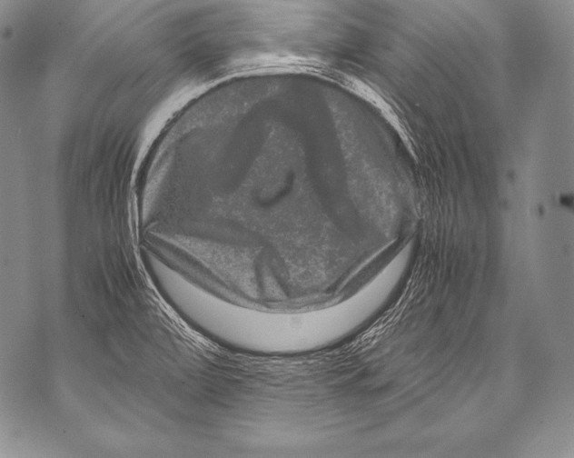 X0000071861472200607290145