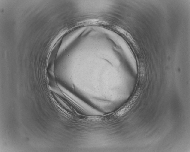 X0000071861473200607290145