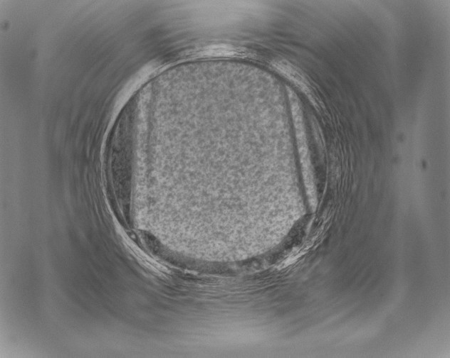 X0000071861475200607290145