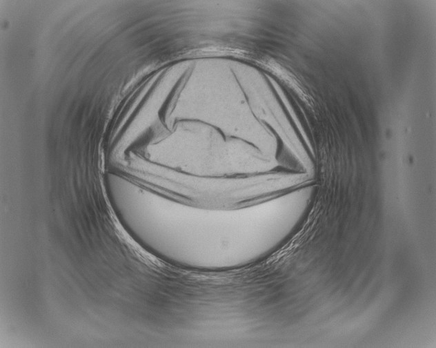 X0000071861476200607290145