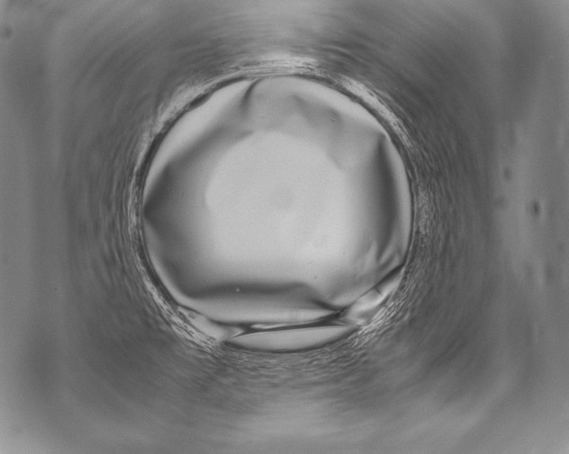 X0000071861477200607290145