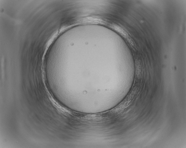 X0000071861478200607290145