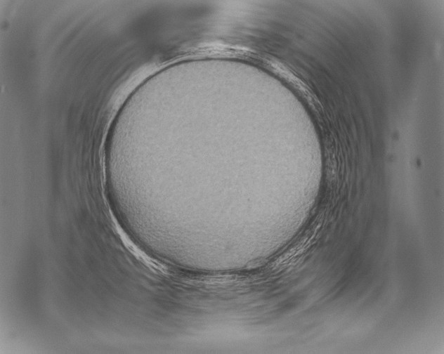 X0000071861479200607290145