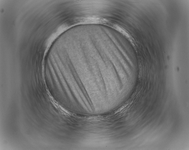 X0000071861480200607290145