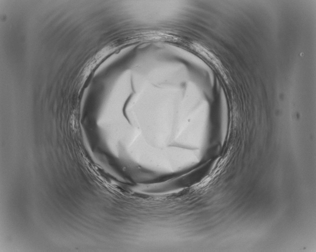 X0000071861481200607290145