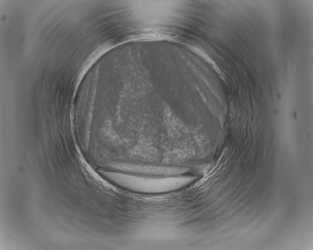 X0000071861484200607290145