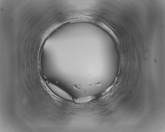 X0000071861485200607290145