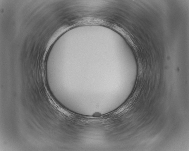 X0000071861486200607290145