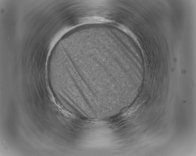 X0000071861488200607290145