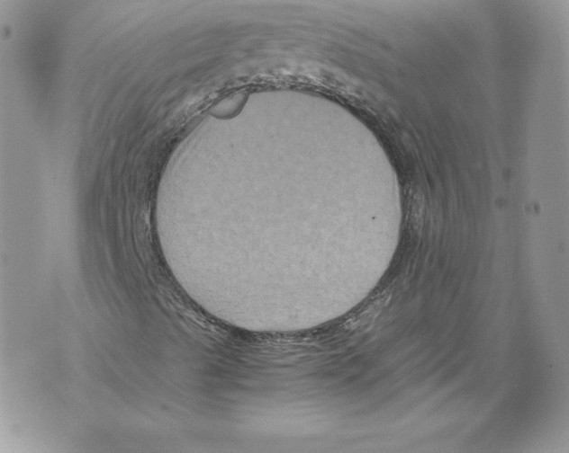 X0000071861489200607290144