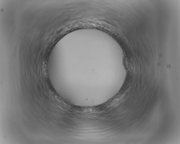 X0000071861490200607290144