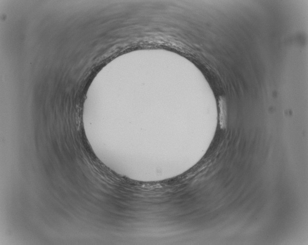 X0000071861491200607290144