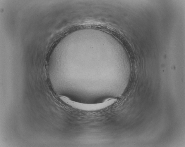 X0000071861493200607290144