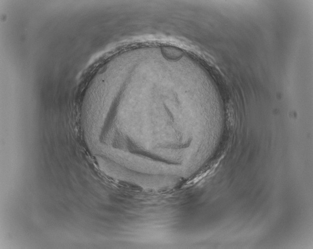 X0000071861494200607290144