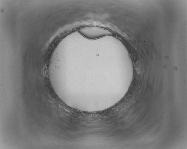 X0000071861495200607290144