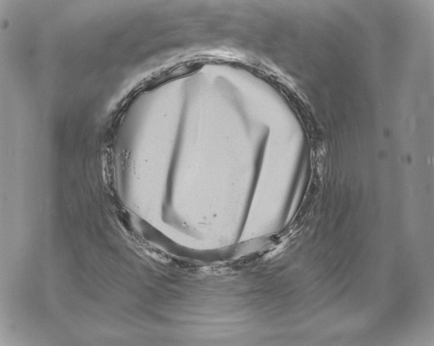 X0000071861496200607290144