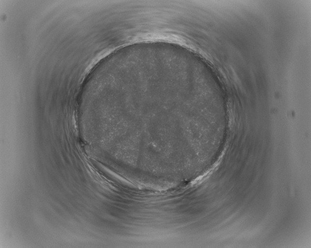 X0000071861497200607290144