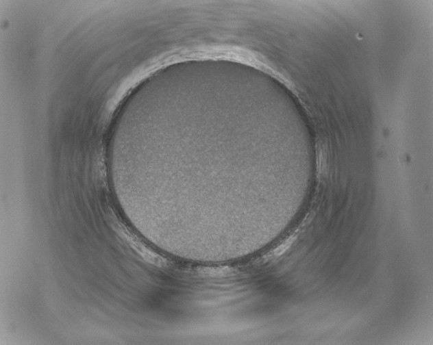 X0000071861498200607290144