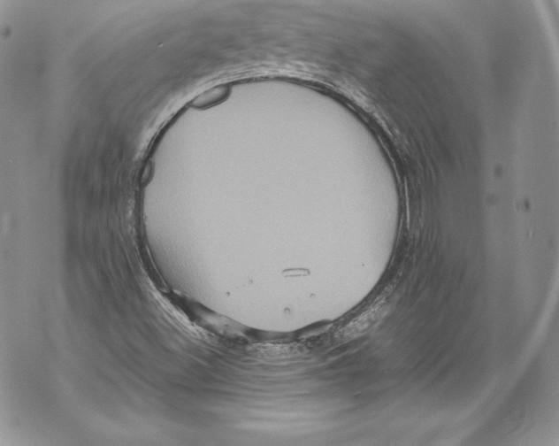 X0000071861500200607290144