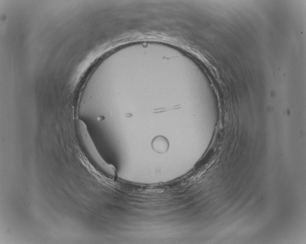 X0000071861503200607290144