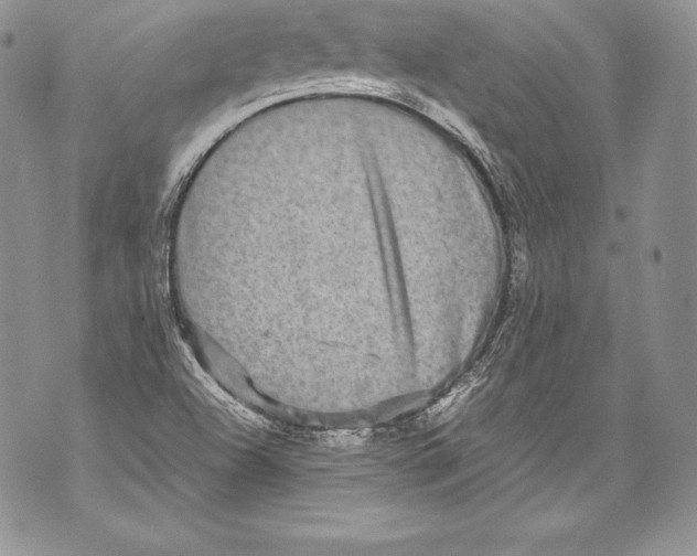 X0000071861504200607290144