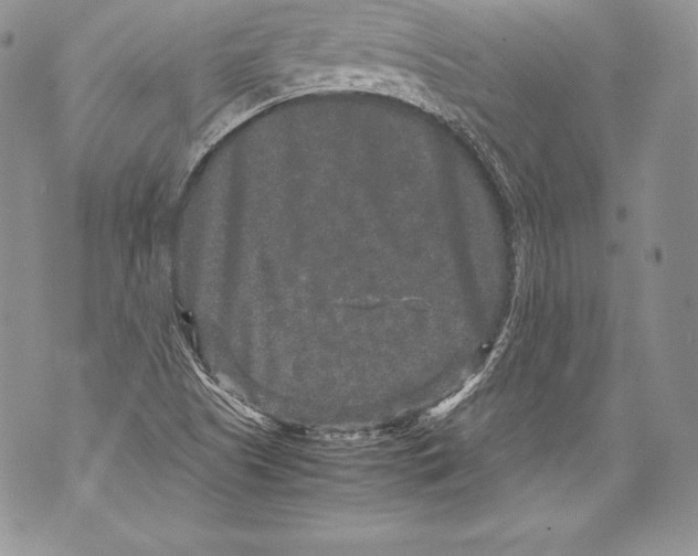 X0000071861505200607290144