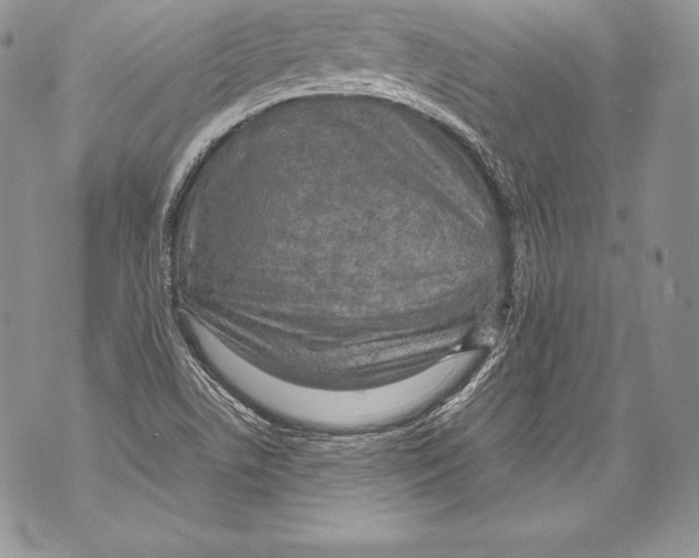 X0000071861506200607290144