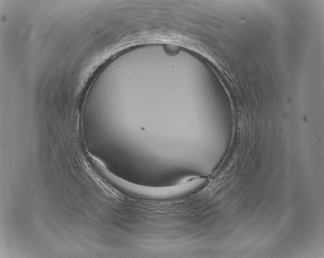 X0000071861507200607290144