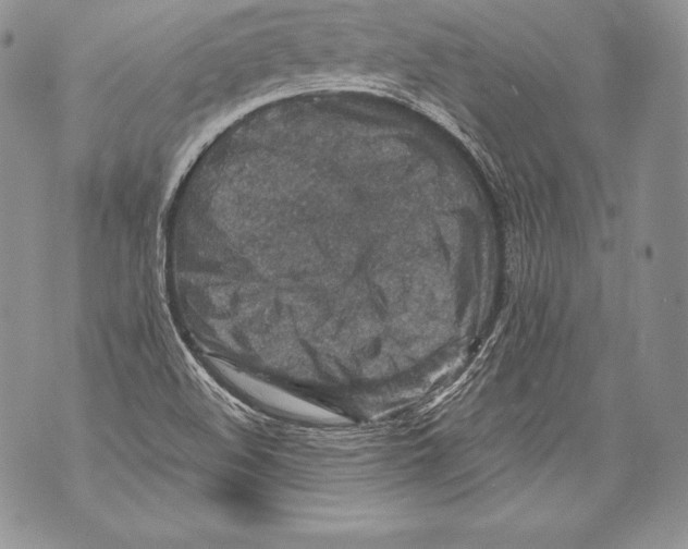 X0000071861508200607290144