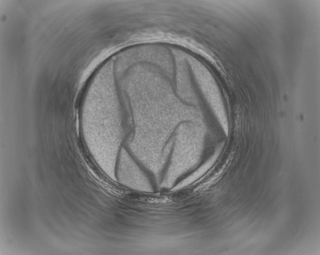 X0000071861509200607290144