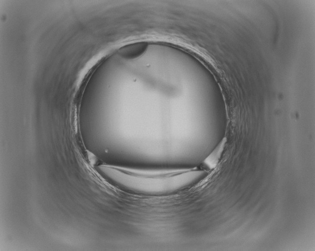 X0000071861510200607290144