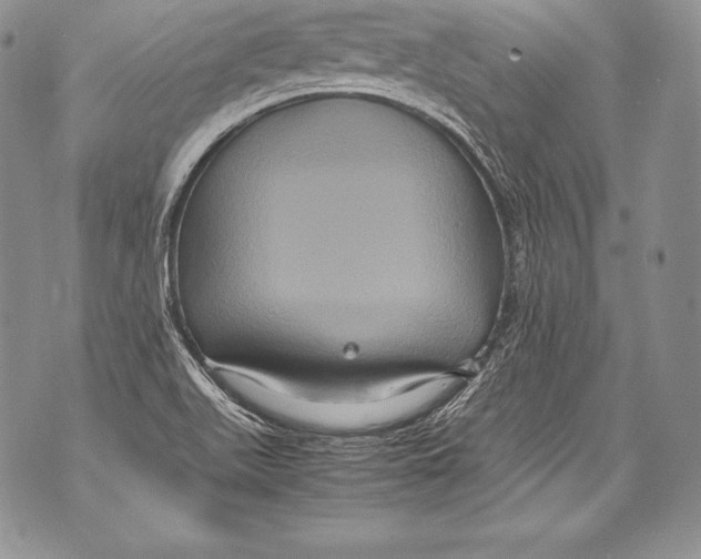 X0000071861511200607290144