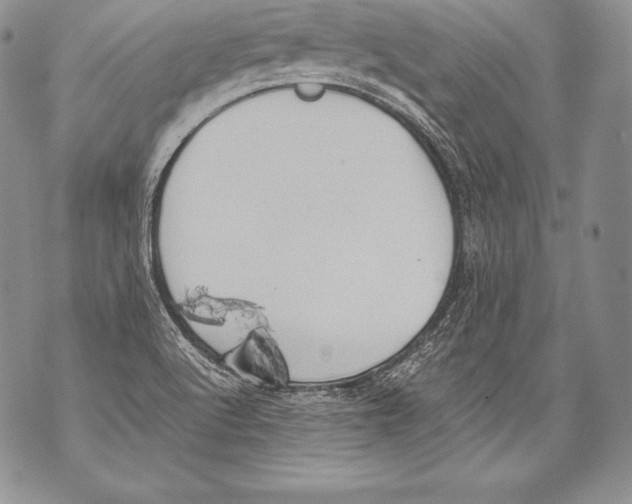 X0000071861512200607290144