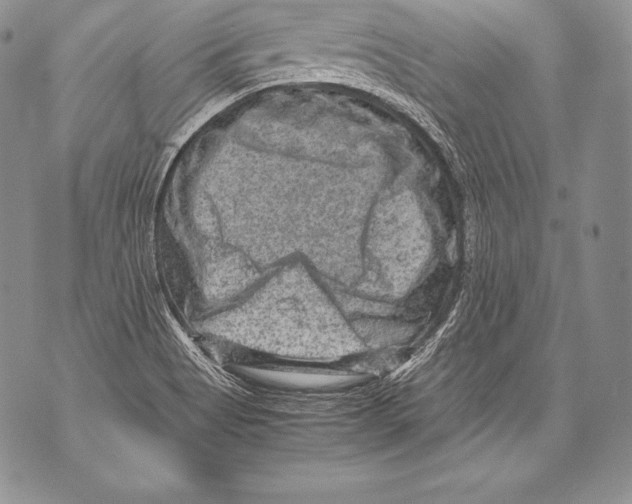 X0000071861513200607290144