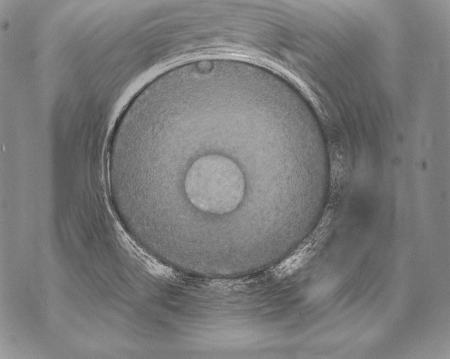 X0000071861514200607290144