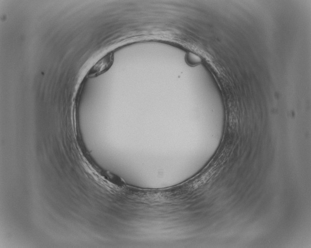 X0000071861516200607290144